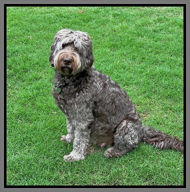 Caymen day 51 preg 3 sit