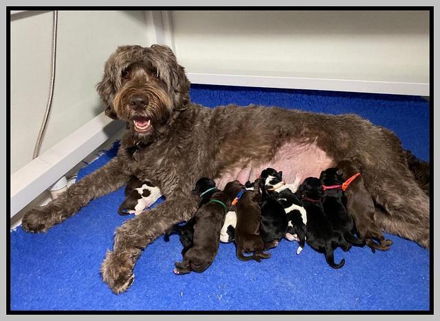 Caymnan Flynn Newborn pics 21