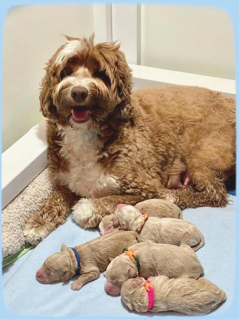 Ashby Bently Newborn 131