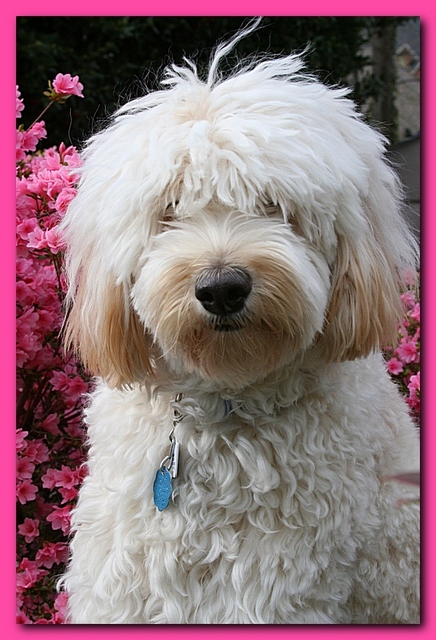 Bailey March 2009 101-1