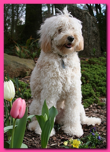 Bailey March 2009 112-1