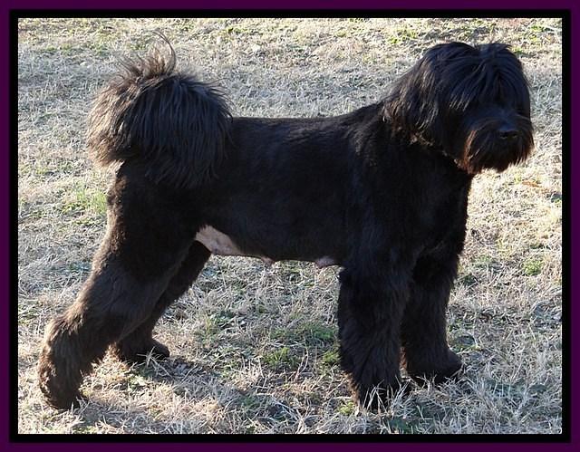 Bess day 55 preg 2 31