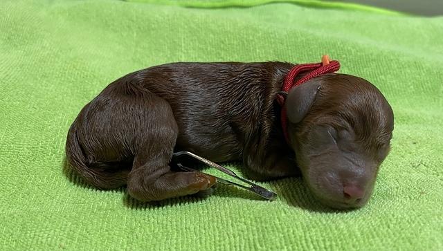 221D78AB-72BA-40BF-97FB-25A6E16205A1