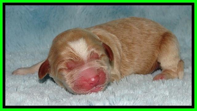 BT 2 days old 391