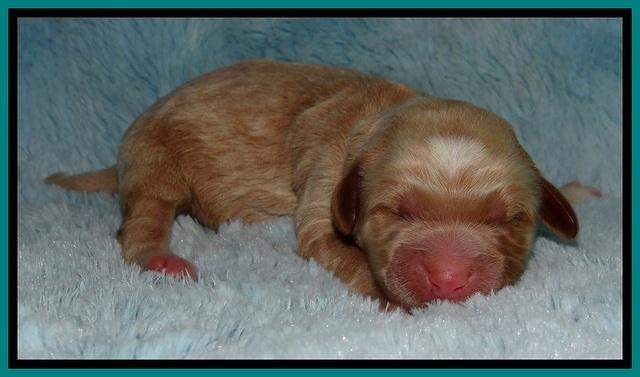 BT 2 days old 431