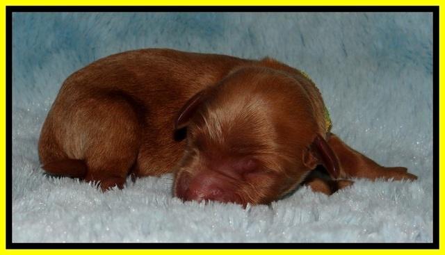 BT 2 days old 281