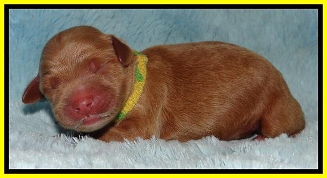 BT 2 days old 341