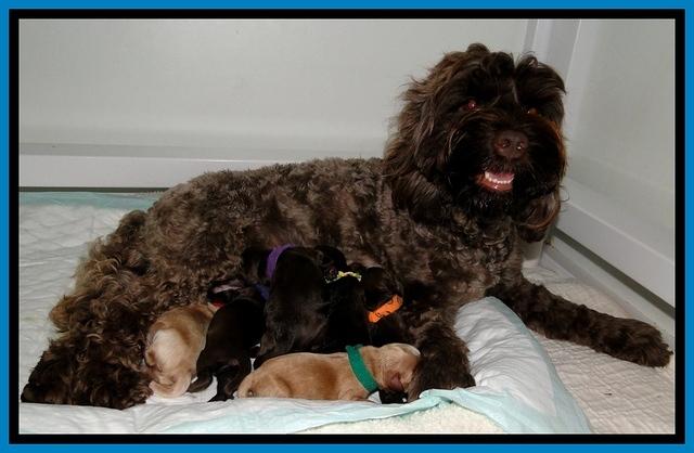 CB newborn group 2