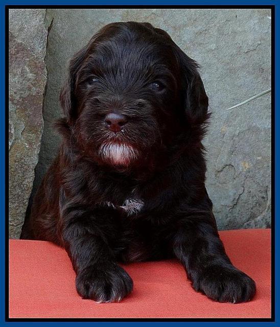 Blue 3 wks (47)