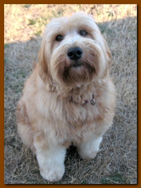 Dancer 2.5 years old 005