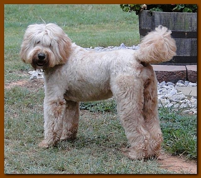 Titus, Tia Kozie Aug 10 029