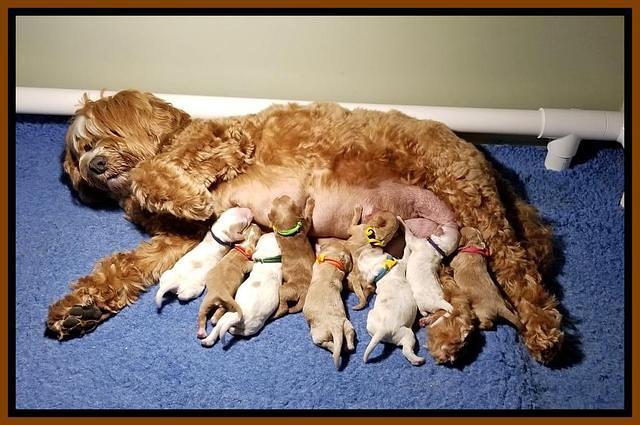 Ellie Mae Tucker Newborn 101