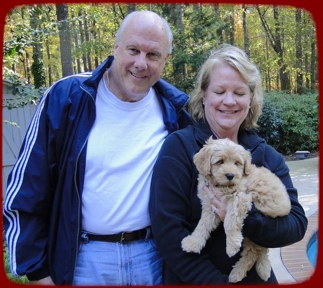 EB pups 8 wks old 34