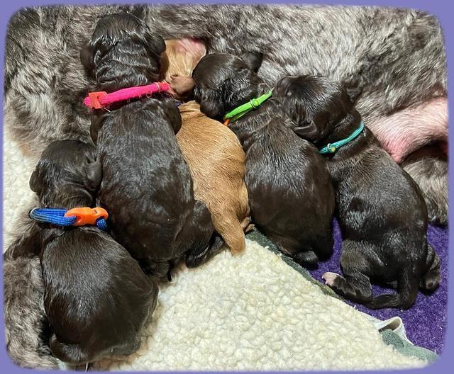 Gigi and Traveler Newbon group photos 11