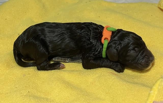 419F4C0F-8918-41C4-9B8C-FA7EB08593D6