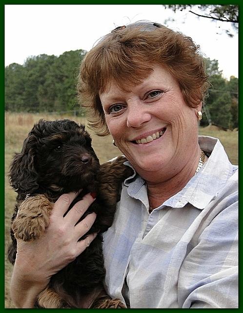 Gizzie Ripley puppies 6.5 weeks old 017