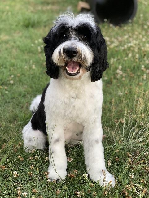 DCEE8ADA-4EA2-49AE-9000-DF4CA032873B