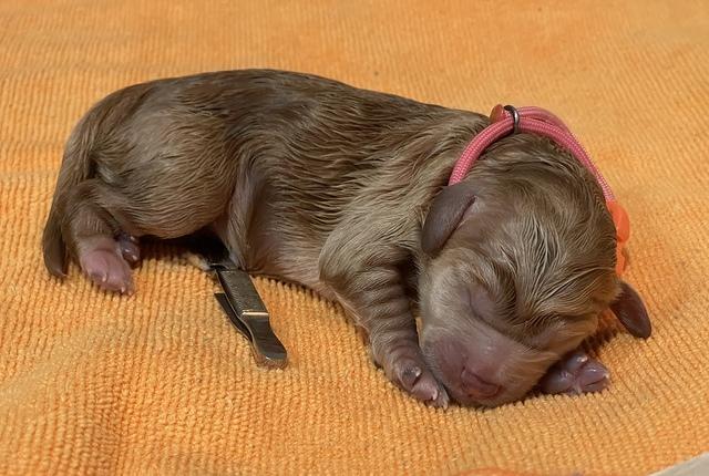 18287D01-68AD-44CE-8FF2-877B65C930E9