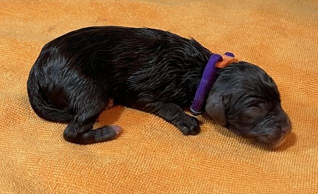 9E3BAED4-D38F-48BB-AE16-007C2B58A1C7