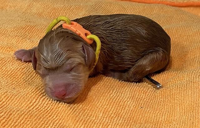 2C9645E2-A685-480F-8ECB-BF163A654E9C