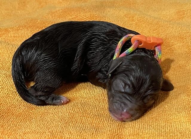 193C5D6D-93E7-4C8F-8798-B602B5DD2FD8