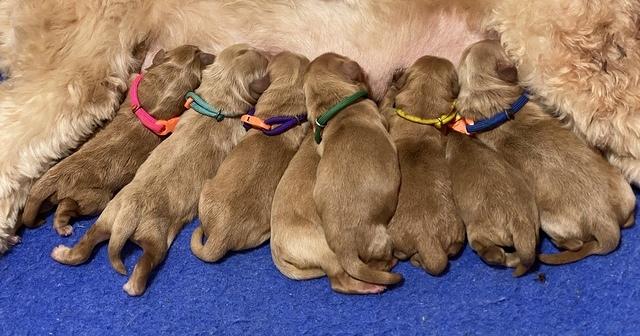 4D003428-02CF-452D-9C18-6999B960764C