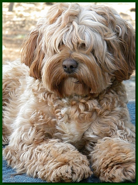 Jolie 14 mos old 004