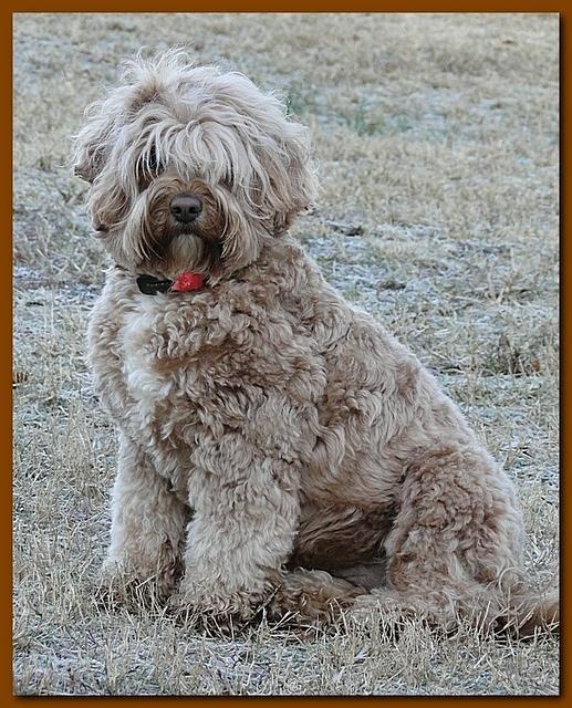 Jolie 2 years old 22