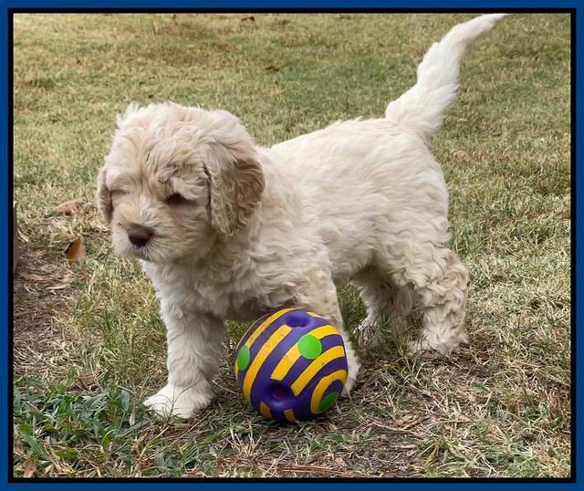 Kenzie Dansby 6 week old 121
