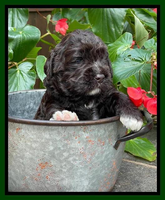 Kenzie Dansby 3 week old 101