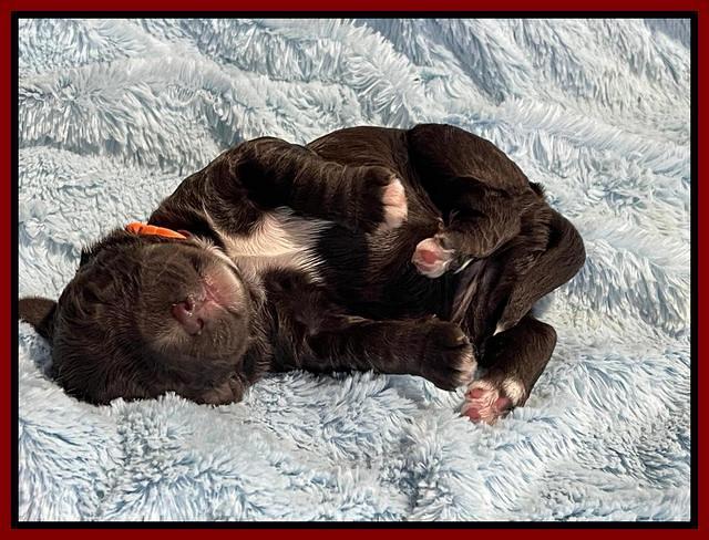 Kenzie Dansby 1 week old 101