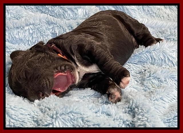 Kenzie Dansby 1 week old 91