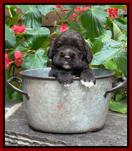 Kenzie Dansby 3 week old 151