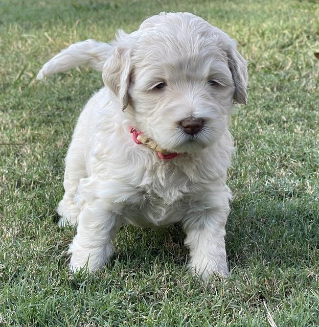 9DD803BB-CE98-4419-8AAE-F35D9A3E06CF