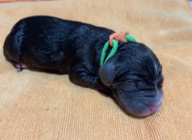 9FFA16C1-A42F-4587-A55D-60A3D444855A