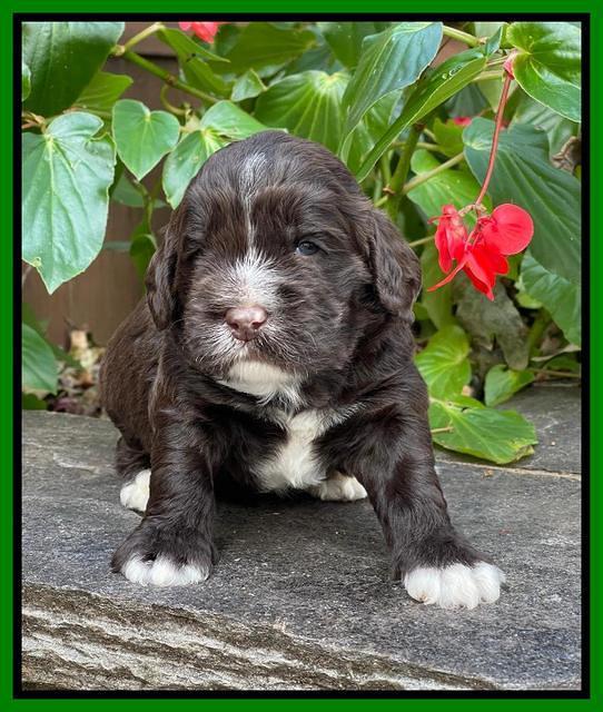 Kenzie Dansby 3 week old 351