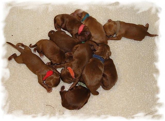 KT group day 3 fleece