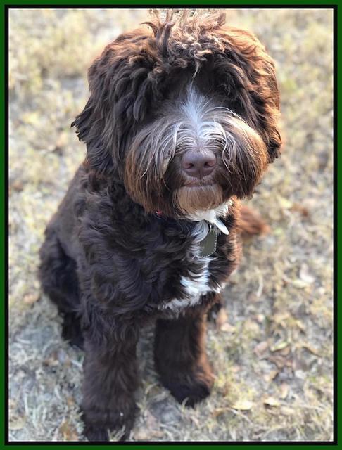 Camo sit 9 mos old