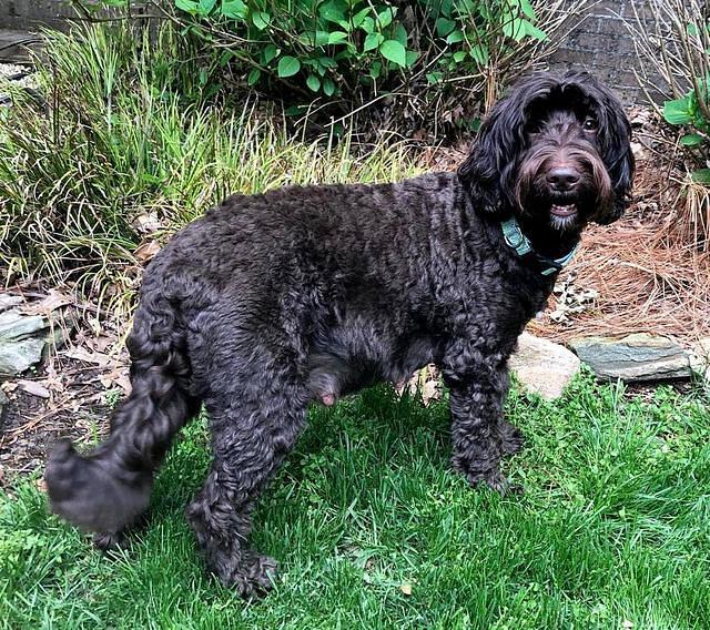 London day 57 preg 3