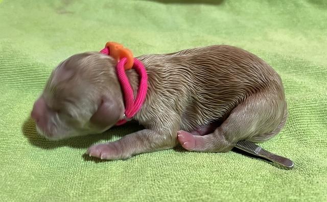 5A59FCFE-7053-4D8B-A77A-3E4158914397