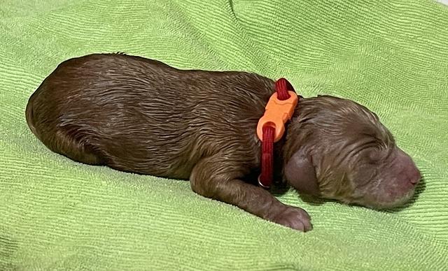 F630570A-23EC-4A6D-B511-31BCCBDA1A88