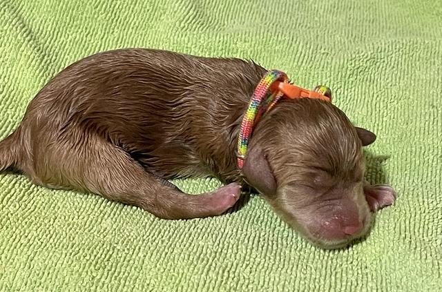 0E3F9D6F-E1B9-4D0A-907B-EABDC7BB4523