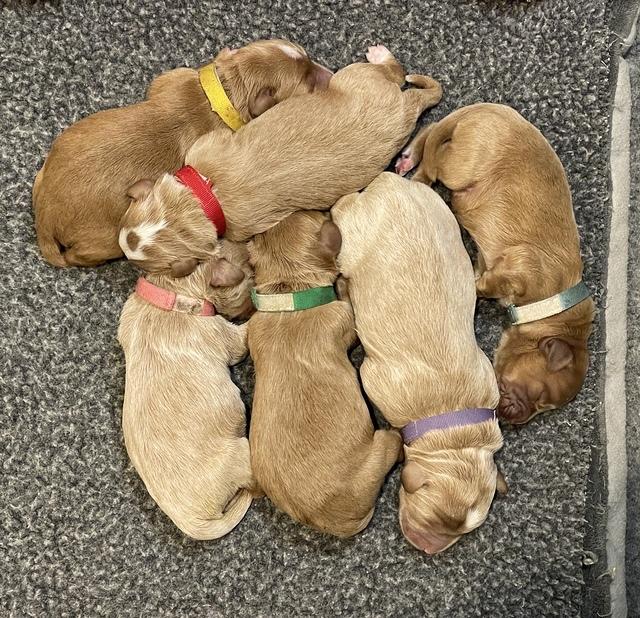 67E79AFE-4CA5-4C45-BE3C-AD17DFEECC41