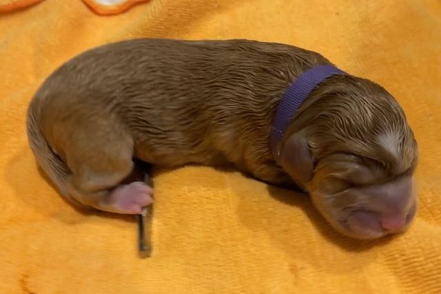 67A05E46-84A0-4E27-B33B-86B84440AEF0