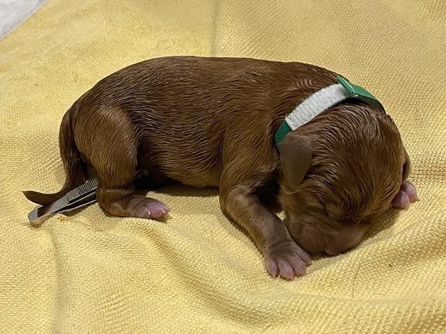 A14A2010-E405-487E-9A7E-4147E8A5DC72