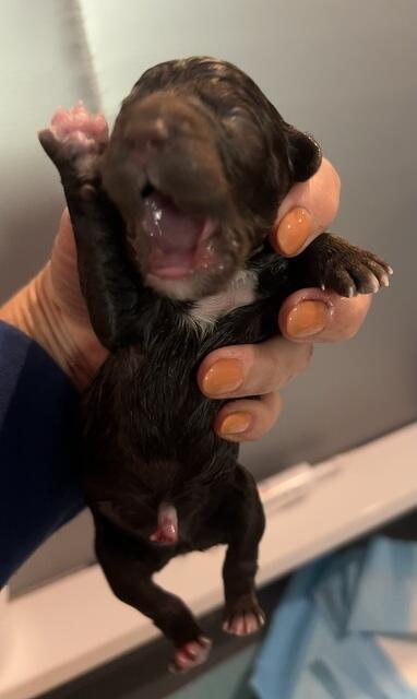 75078119504 7F645216-983C-4A68-91CA-29563F31E33F