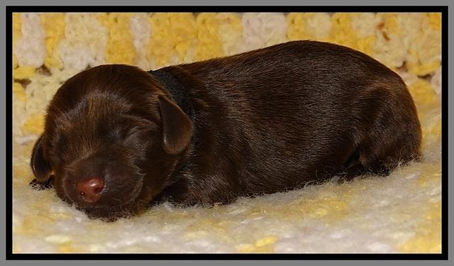 TH newborn individual 201