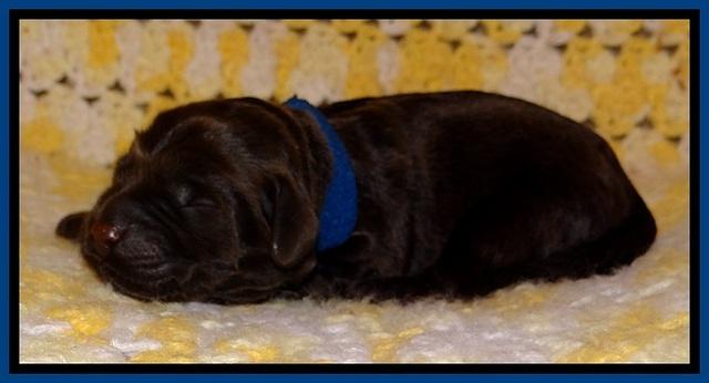 TH newborn individual 41