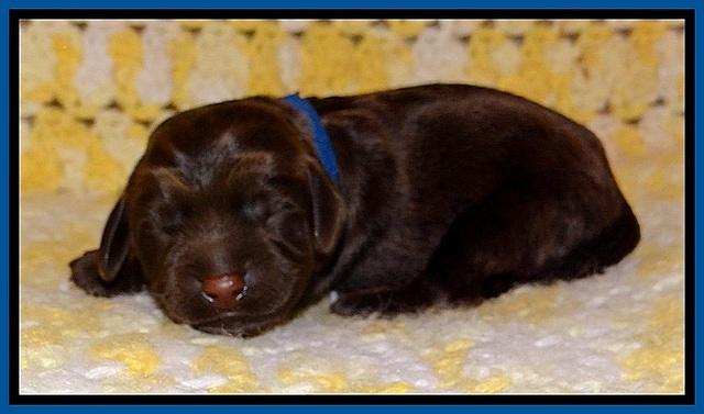 TH newborn individual 61