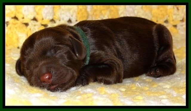 TH newborn individual 141